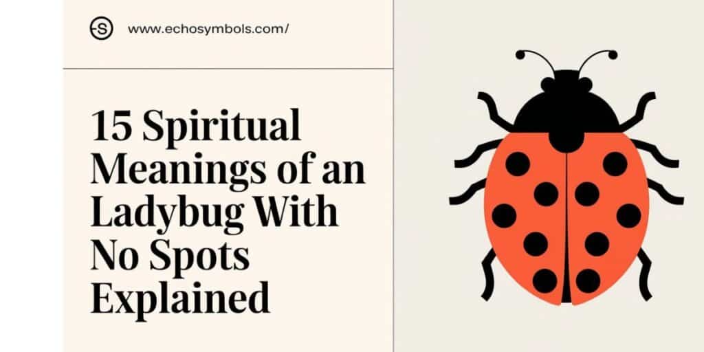 15 Spiritual Meanings of Ladybug With No Spots Explained