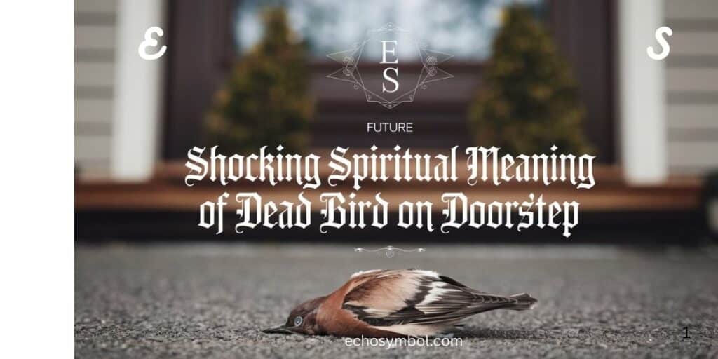 Shocking Spiritual Meaning of Dead Bird on Doorstep