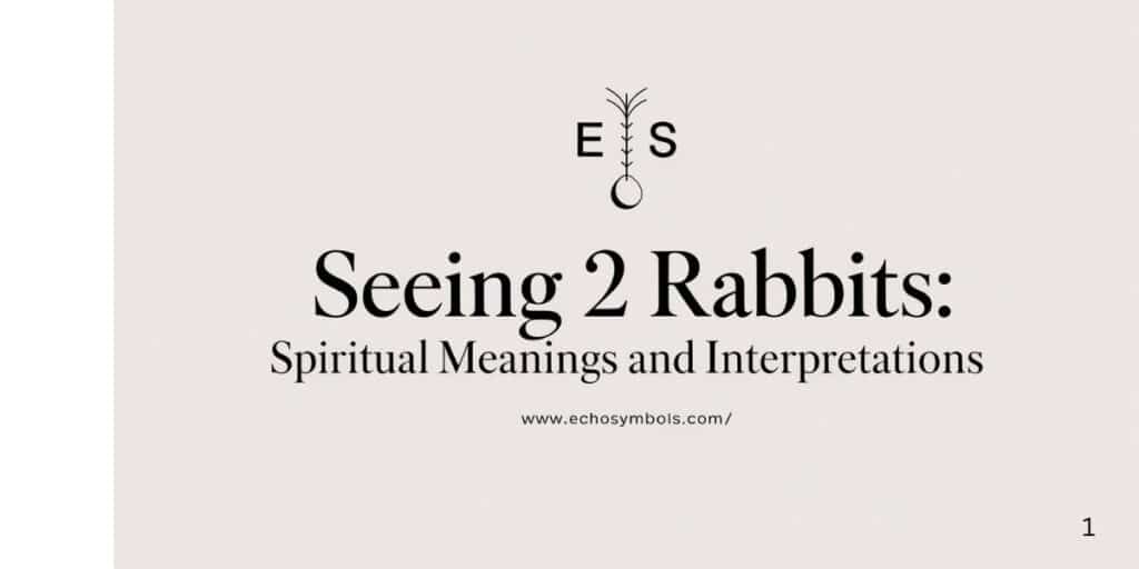 Seeing 2 Rabbits: Spiritual Meanings and Interpretations