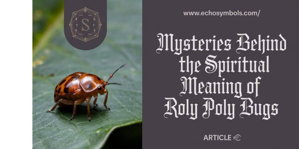 Mysteries Behind the Spiritual Meaning of Roly Poly Bugs