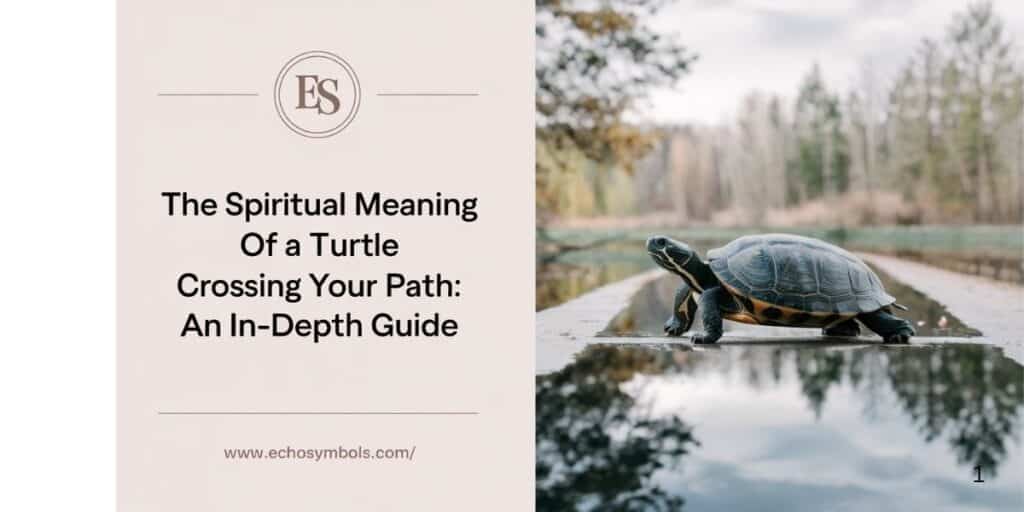 The Spiritual Meaning of a Turtle Crossing Your Path: An In-Depth Guide
