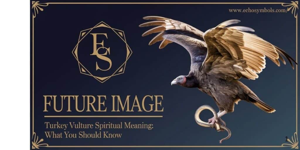 Turkey Vulture Spiritual Meaning: What You Should Know