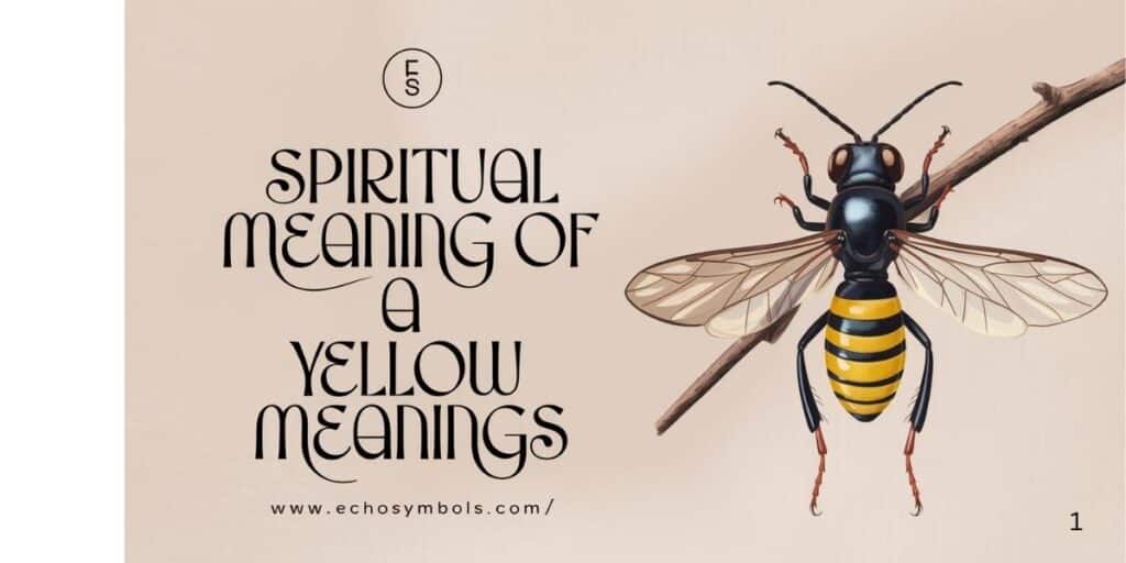 Spiritual Meaning of a Yellow Jacket [Sweet Meanings]