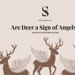 Are Deer a Sign of Angels