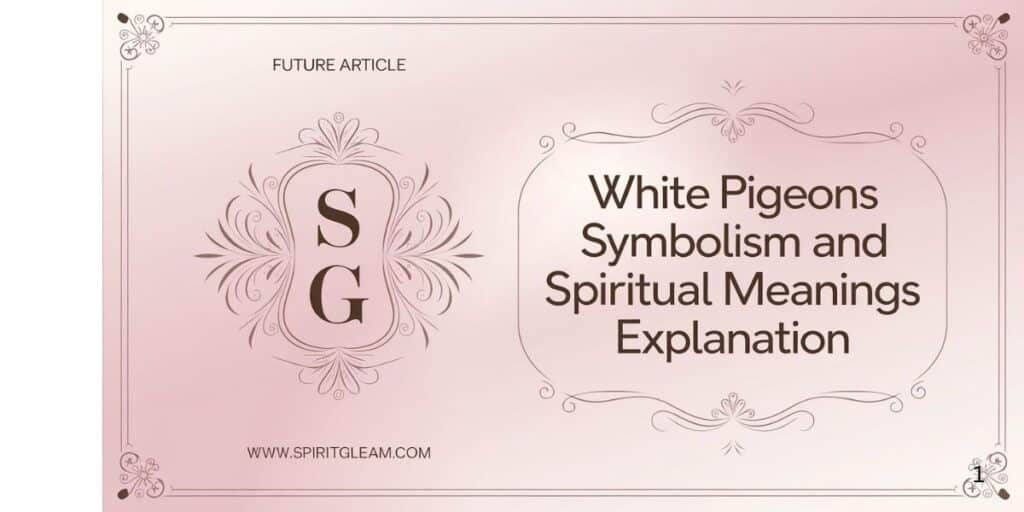 White Pigeons Symbolism and Spiritual Meanings Explanation