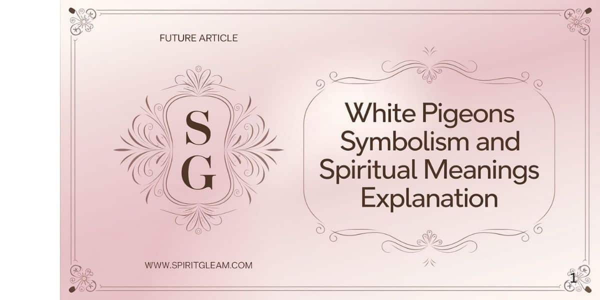 White Pigeons Symbolism and Spiritual Meanings Explanation