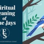 Spiritual meaning of blue jays