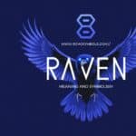 Raven Meaning and Symbolism