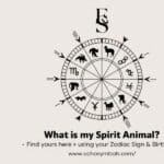 What Is My Spirit Animal? - Find Yours Here Using Your Zodiac Sign & Birthday