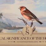 Spiritual Significance of the House Finch