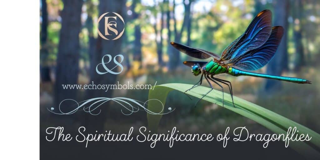 The Spiritual Significance of Dragonflies