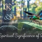 The Spiritual Significance of Dragonflies