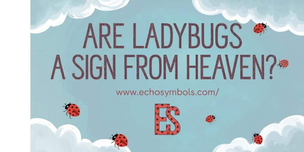 Are Ladybugs a Sign From Heaven?