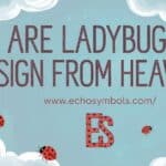 Are Ladybugs a Sign From Heaven?