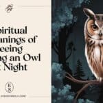 Spiritual Meanings of Seeing an Owl at Night