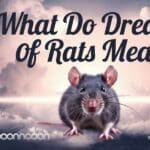 What do dreams of rats mean?