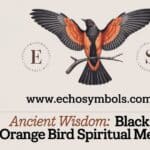 Ancient Wisdom: Black and Orange Bird Spiritual Meaning