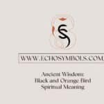 Ancient Wisdom: Black and Orange Bird Spiritual Meaning