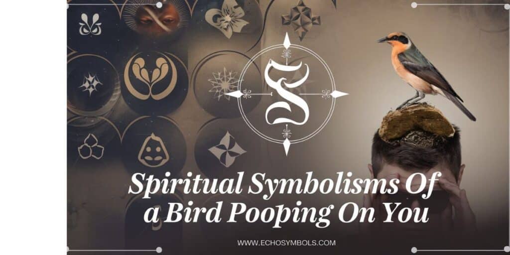 Spiritual Symbolisms of a Bird Pooping on You