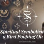 Spiritual Symbolisms of a Bird Pooping on You