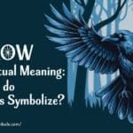 Crow Spiritual Meaning: What Do Crows Symbolize? 