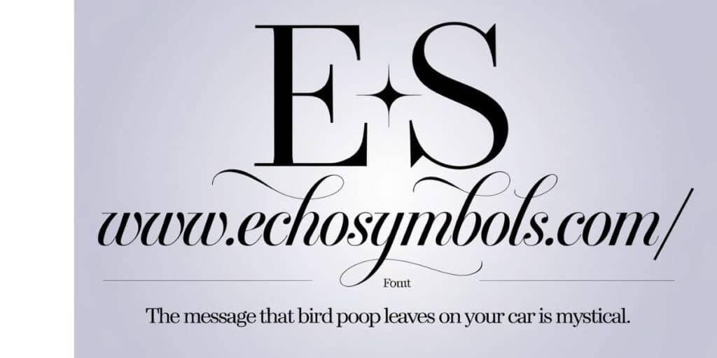 The message that bird poop leaves on your car is mystical.