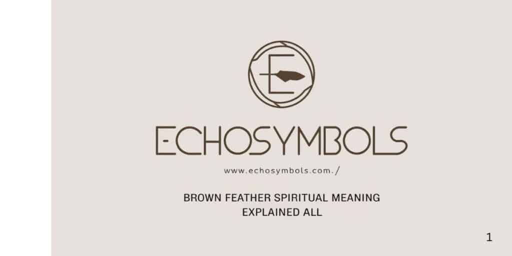 Brown Feather Spiritual Meaning Explained All