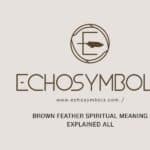 Brown Feather Spiritual Meaning Explained All