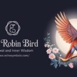 Red Robin Bird: Renewal and Inner Wisdom 