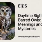 Daytime Sightings of Barred Owls: Meanings and Mysteries