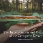 The Interpretation and Meaning of the Centipede Dream