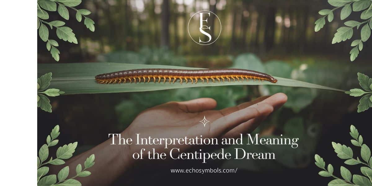 The Interpretation and Meaning of the Centipede Dream